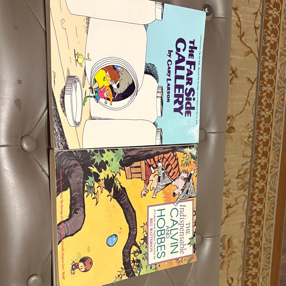 The Far Side Gallery and Calvin and Hobbes Book Set